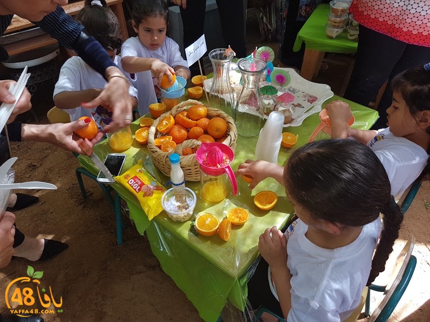 3ogod jdfan (17).jpg